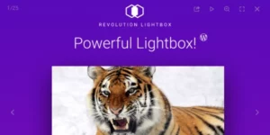 Revolution Lightbox WordPress Plugin 3.0破解版插件