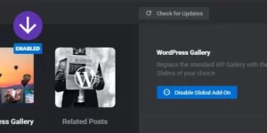 Revslider WordPress Gallery AddOn 2.0.4破解版插件