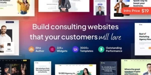 Rise Business Consulting WordPress Theme 2.0.5破解版主题