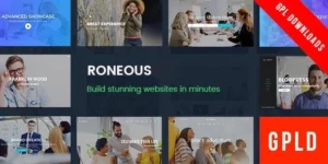 Roneous 1.9.8破解版主题