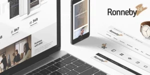 Ronneby High-Performance WordPress Theme 3.5.56破解版主题