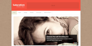 SATURATION BLOG STYLE WORDPRESS THEME 1.0.7破解版主题