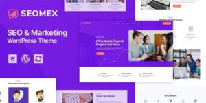 SEOMEX SEO Agency Online Marketing WordPress Theme 1.0.0破解版主题