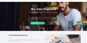 SEOMarket SEO Website WordPress Theme 1.0.1破解版主题