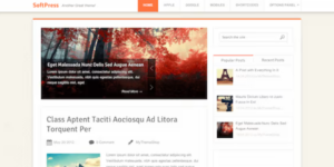 SOFTPRESS FULLY RESPONSIVE