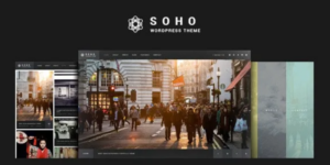 SOHO Photography 2.9.7破解版主题