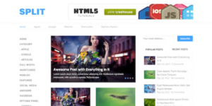 SPLIT  -MINIMAL RESPONSIVE WORDPRESS THEME 1.1.2破解版主题