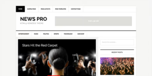 STUDIOPRESS NEWS PRO WORDPRESS THEME 3.2.2破解版主题