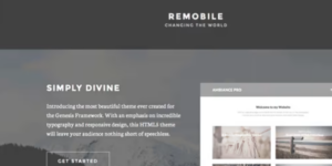 STUDIOPRESS REMOBILE PRO WORDPRESS THEME 1.0.2破解版主题