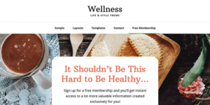 STUDIOPRESS WELLNESS PRO WORDPRESS THEME 1.1.4破解版主题
