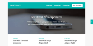 STUDIOPRESS WHITESPACE PRO WORDPRESS THEME 1.0.3破解版主题