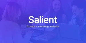 Salient 16.3.1破解版主题