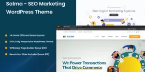 Salma SEO Marketing WordPress Theme 1.0.0破解版主题
