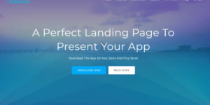 Salmon One Page App WordPress Theme 1.7破解版主题
