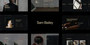Sam Bailey Personal CV/Resume WordPress Theme 1.0.0破解版主题