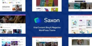 Saxon 1.9.1破解版主题