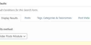 Search Filter  Beaver Builder Extension 1.0.1破解版插件