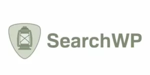 SearchWP LIKE Terms 2.4.6破解版插件