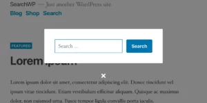 SearchWP Modal Search Form 0.5.3破解版插件