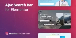 Searcher – Ajax Search for Elementor 1.0.2破解版插件