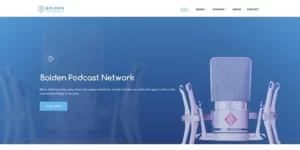 SecondLine – Bolden WordPress Theme 1.5.2破解版主题