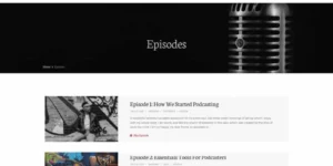 SecondLine – Satchmo WordPress Theme 1.9.0破解版主题