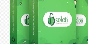 Sejoli Standalone 1.13.1破解版插件