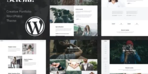 Selena. Portfolio WordPress Theme 1.0.3破解版主题