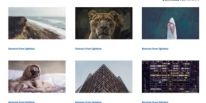 Sell Media Download Lightbox 1.0.2破解版插件