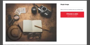 Sell Media Subscription 1.0.3破解版插件