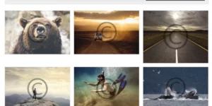Sell Media Watermark 2.0.4破解版插件