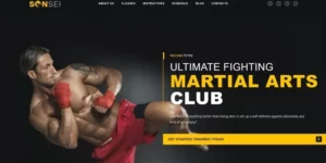 Sensei Martial Arts WordPress Theme 1.0.0破解版主题