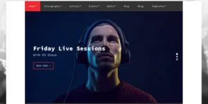 Sessions Music WordPress Theme By CSSIgniter 1.12.10破解版主题