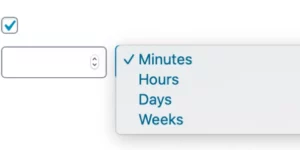 ShopMagic Delayed Actions 3.1.11破解版插件