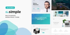 Simple Business WordPress Theme 2.3.3破解版主题