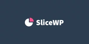 SliceWP Custom Conversion  Add-On 1.0.3破解版插件