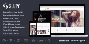 Slupy | Responsive Multi-Purpose WordPress Theme 1.2.0破解版主题