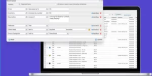 Smart Manager Pro 8.45.0破解版插件