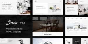 Snow | Minimal Clean WordPress Portfolio Theme 1.4.2破解版主题