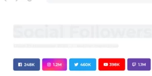 Social followers bar for WordPress 1.2.5破解版插件