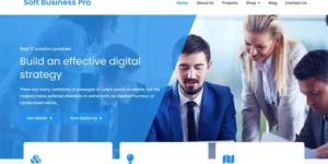 Soft Business Pro Clean and Modern WordPress Business Theme WordPress Theme 1.6破解版主题