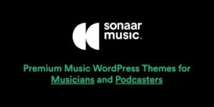 Sonaar Music 4.26.3破解版主题