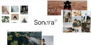 Sonora Photography WordPress Theme 1.0.0破解版主题