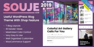 Souje 4.0破解版主题