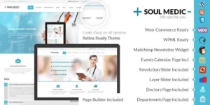 SoulMedic | Hospital Doctor WordPress Theme 4.9破解版主题
