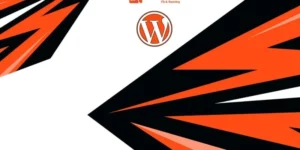 Speedo Racing And Olympics WordPress Theme 1.0.0破解版主题