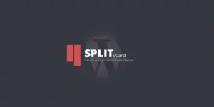Split : WordPress CV/Vcard Template 1.0破解版主题