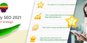 Squirrly SEO Pro 11.1.12破解版插件