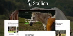 Stallion 1.0破解版主题