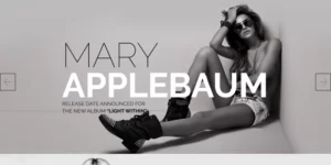 Stargaze Media Celebrity Responsive WordPress Theme 1.0.0破解版主题